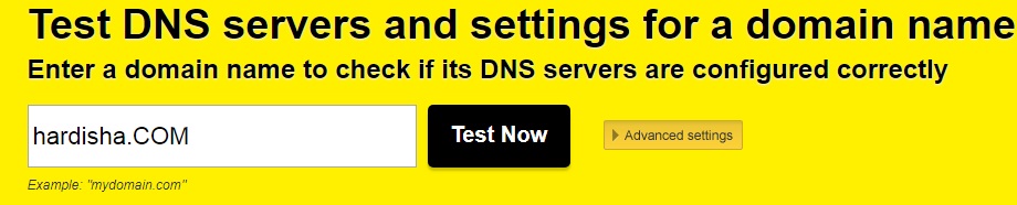 Pingdom DNS Test Image