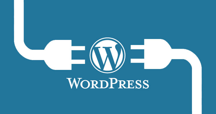 WordPress Plugins Image