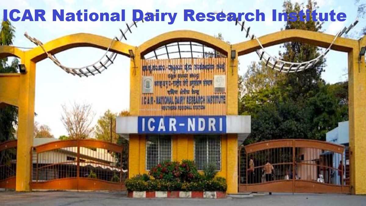 ICAR NDRI-ICAR National Dairy Research Institute