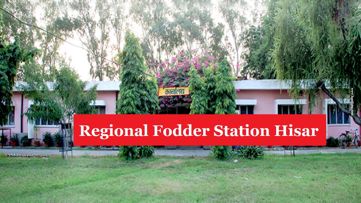 Regional Fodder Station - RFS Hisar