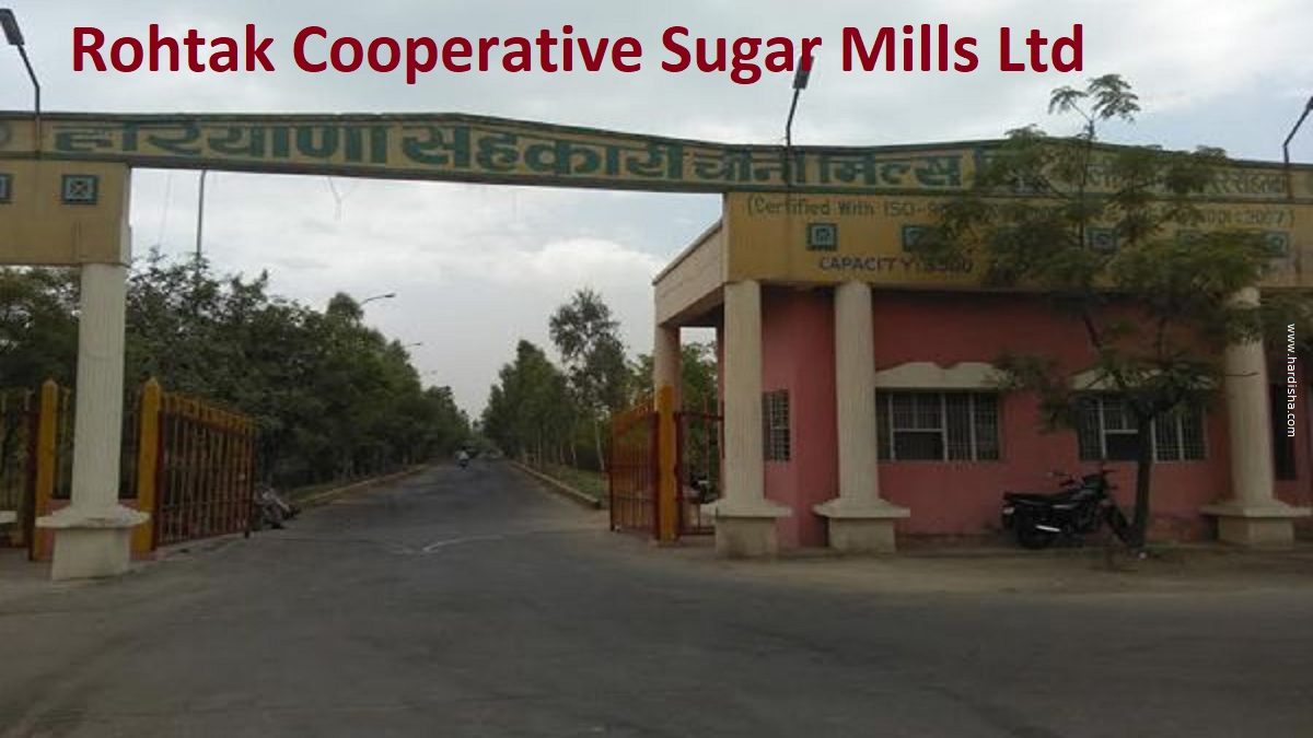 Rohtak Sugar Mill-Rohtak Cooperative Sugar Mills Ltd
